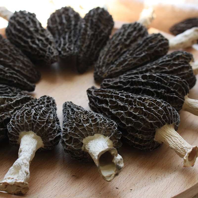 Black Morel Manufacturer - Bulk Dried Mushroom