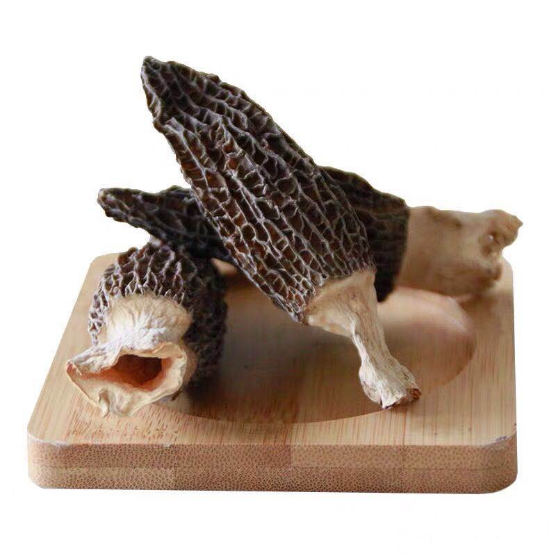 Morchella Mushroom Supplier - Wild Custom