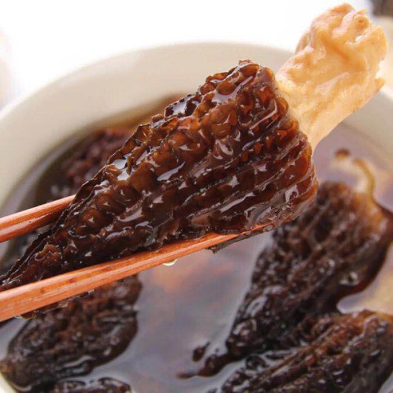 Morel Mushroom Farm Supplier - Wholesale Bulk