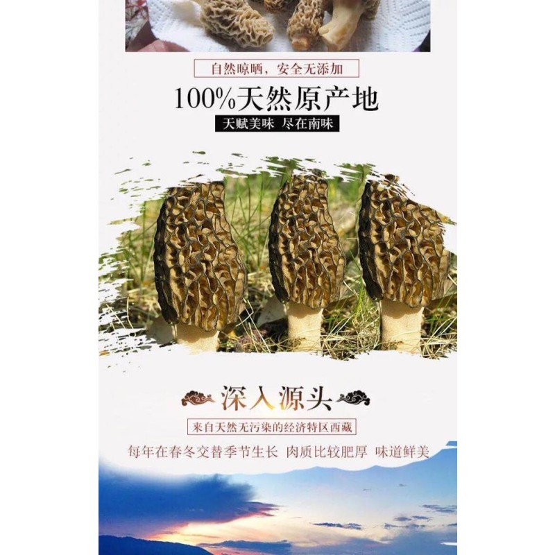 Cinnamon Root Piece Factory - Seasoning Whole