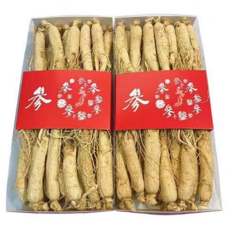 Raw Ginseng Root Supplier - Food Beverage OEM