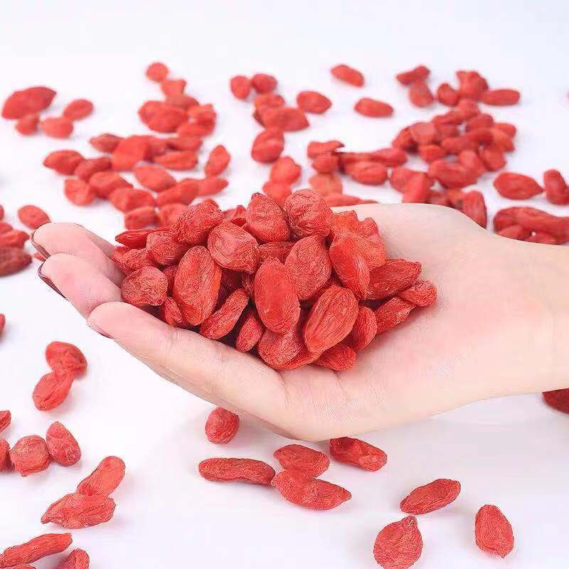 Dried Goji Berry Manufacturer - Bulk Vacuum Packed