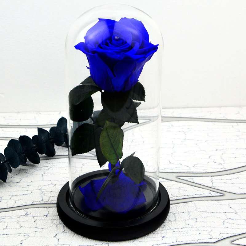 Dendrobium Officinale Supplier - Various Forms