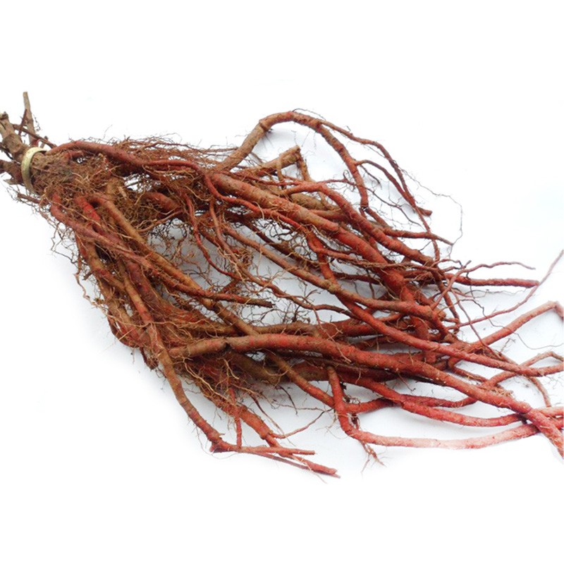 Lotus Leaf Extract Factory - Custom Extraction