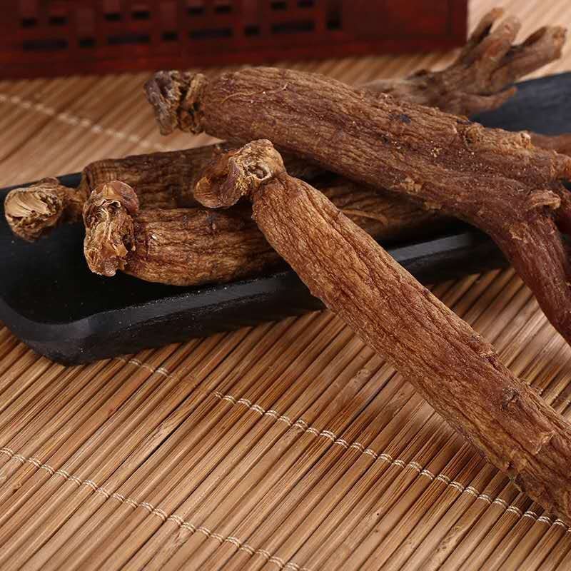 Red Panax Ginseng Manufacturer - Tea Powder