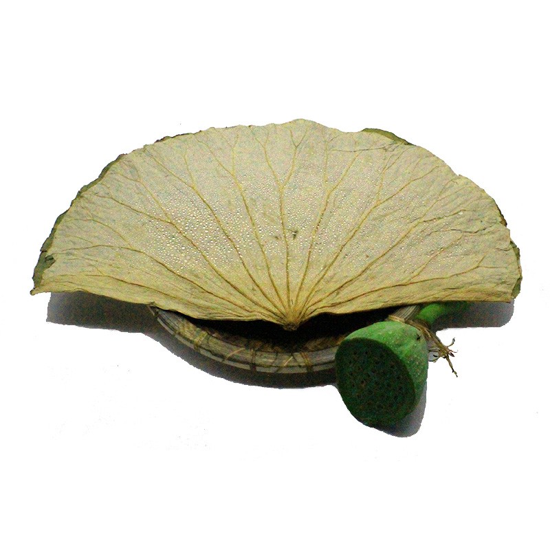 Ginseng Powder Supplier - Bulk Food Ingredient