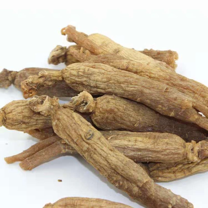 Ginseng Powder for Food Manufacturer - Capsule