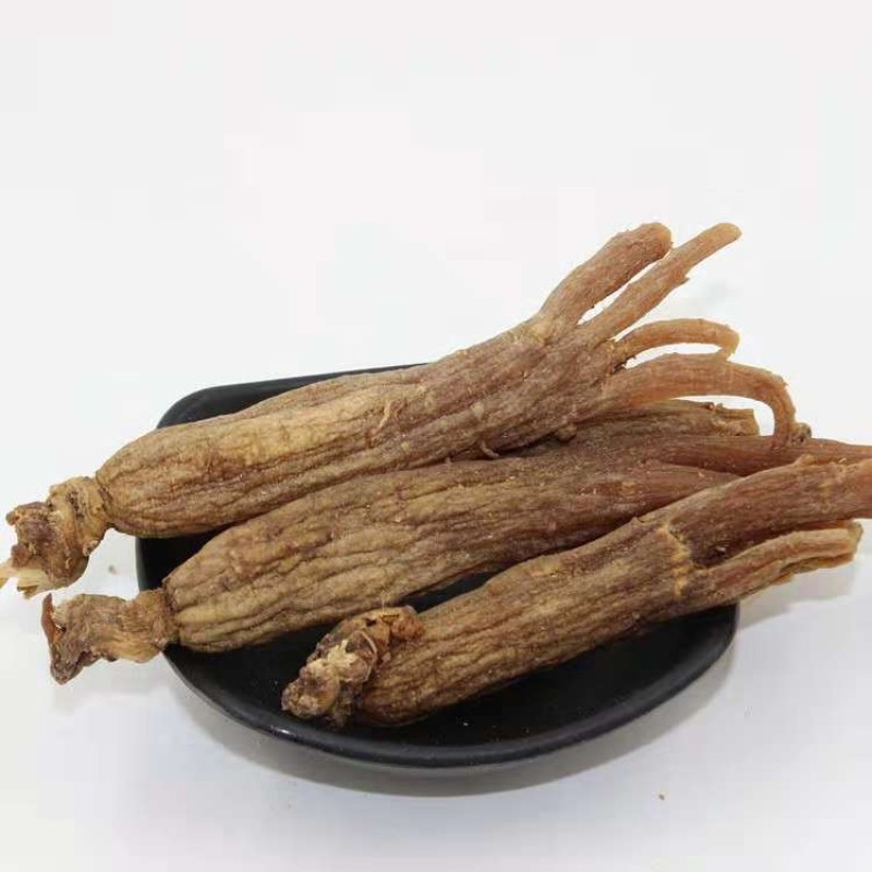 Ginseng Powder for Food Manufacturer - Capsule