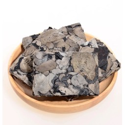 Morel Mushroom Spawn Supplier - Cultivation