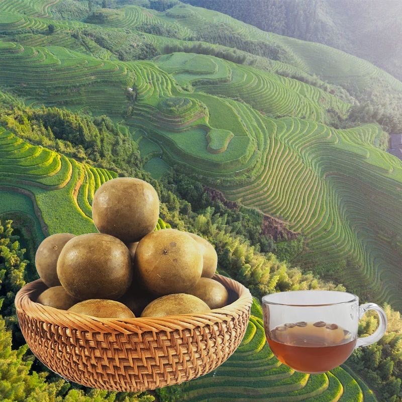 Date Ball Fruit Snack Factory - Bulk OEM Packaging