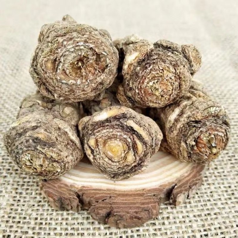 Angelica Root Slice Manufacturer - Sulfur-Free Custom