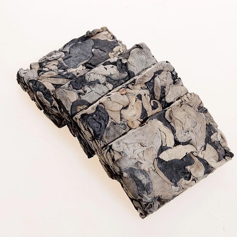 Morel Mushroom Spawn Supplier - Cultivation