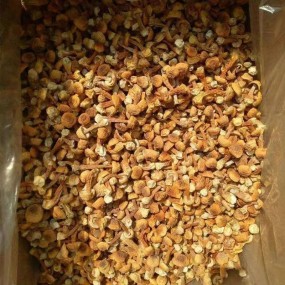 Goji Berries Manufacturer - Bulk Dried Fruit