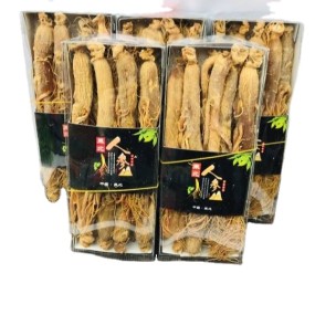 Ginseng Patch Factory - Asian Root Free Sample