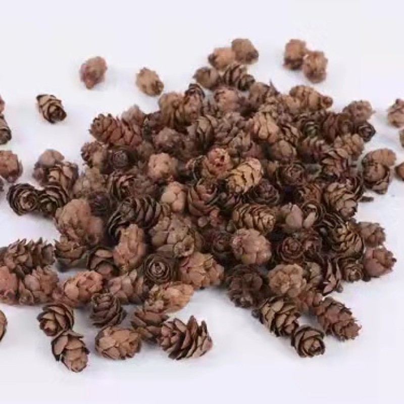 Mini Pine Cones Factory - Dried Christmas Decoration