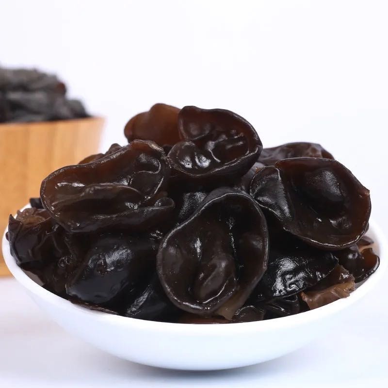 Morel Mushroom Spawn Supplier - Cultivation