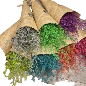 Dendrobium Officinale Supplier - Various Forms