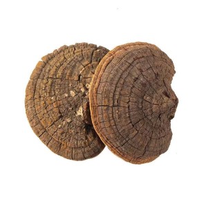 White Sugar Ginseng Factory - Slice Packaging