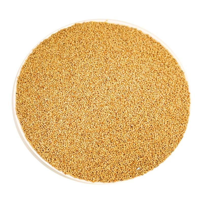 Hulled Millet Bird Food Manufacturer - Bulk OEM/ODM