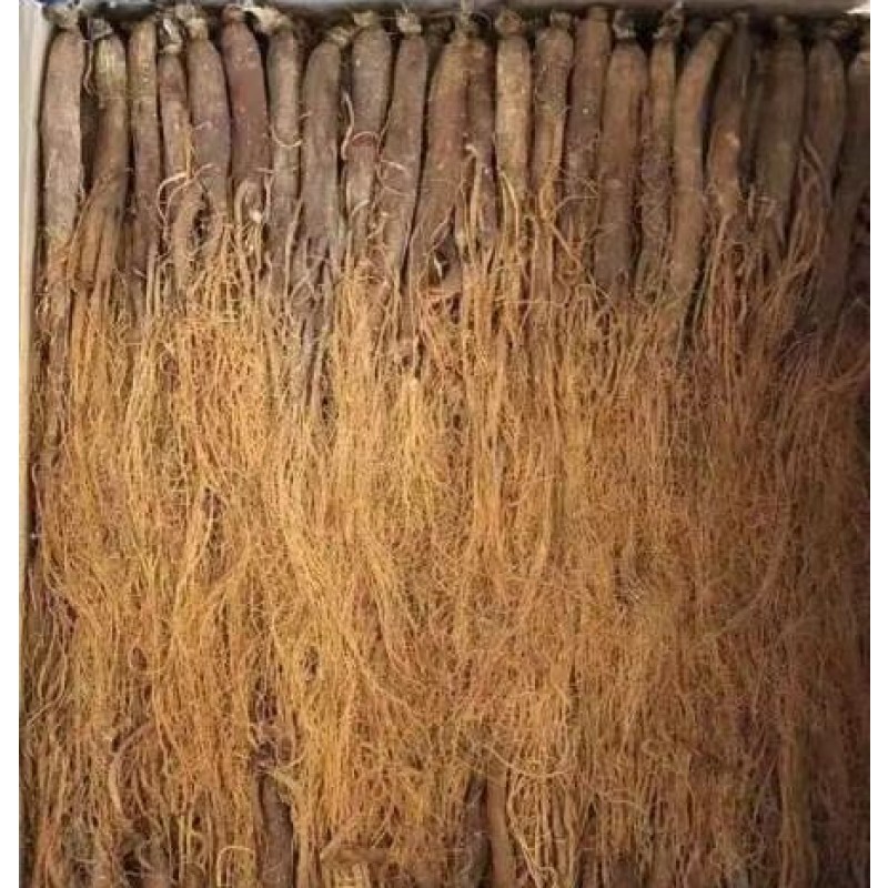 Korean Red Ginseng Supplier - Root Custom