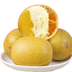 Date Ball Fruit Snack Factory - Bulk OEM Packaging