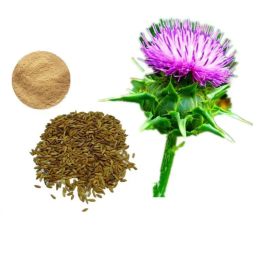 Blessed Thistle Extract Supplier - Organic Cnicus Custom