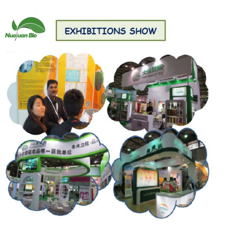 Butterfly Pea Extract Factory - Blue Flower Pigment Custom