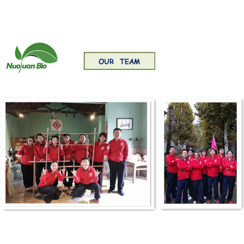 Citrus Fiber Supplier - Peels Extract 90% Custom