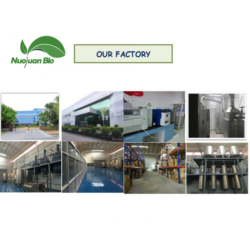 Palm Oil Extract Factory - Tocotrienols 50%-90% Custom