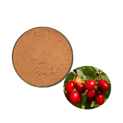 Cornus Officinalis Extract Manufacturer - High Quality Bulk