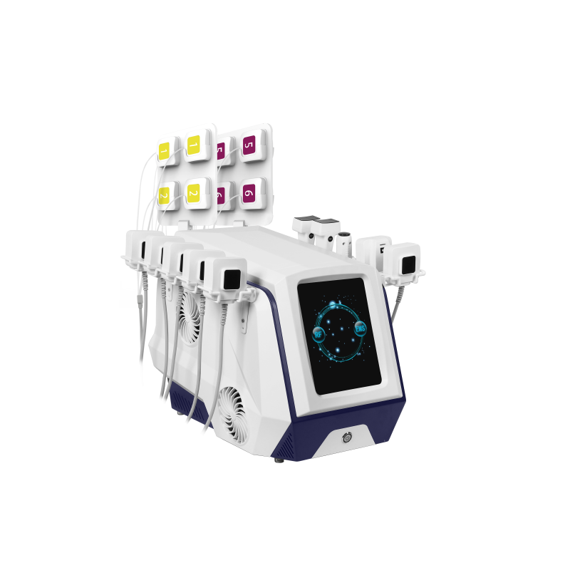 EMS Training Machine Supplier - Muscle Building