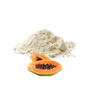 Papain Enzyme Powder Manufacturer - Meat Tenderizer 100K U/mg