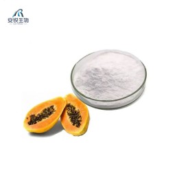 Papain Enzyme Powder Factory - Food Processing Skincare