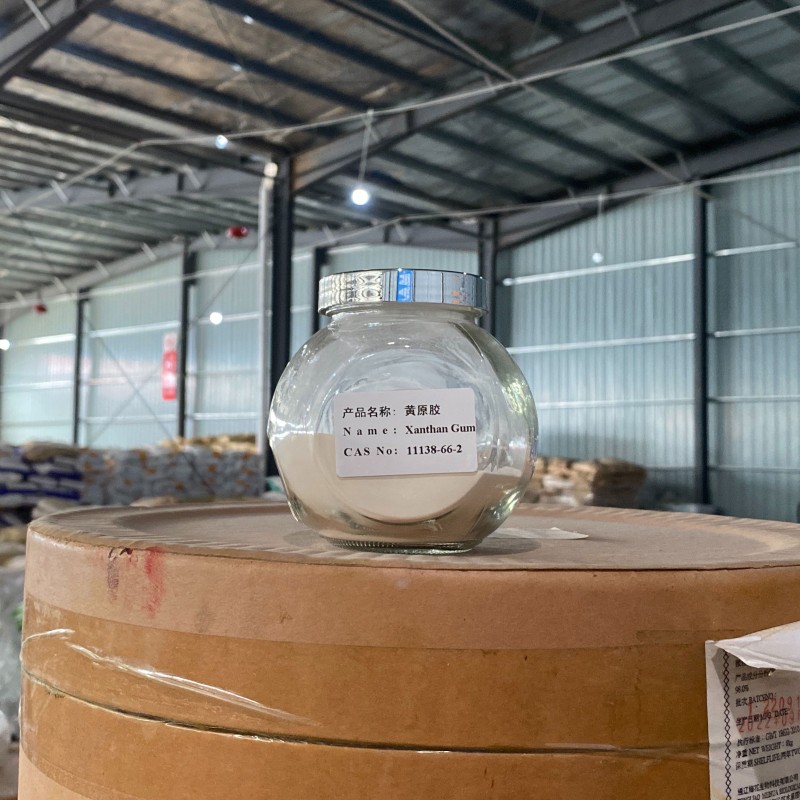Xanthan Gum Manufacturer - Food Grade 11138-66-2 Bulk