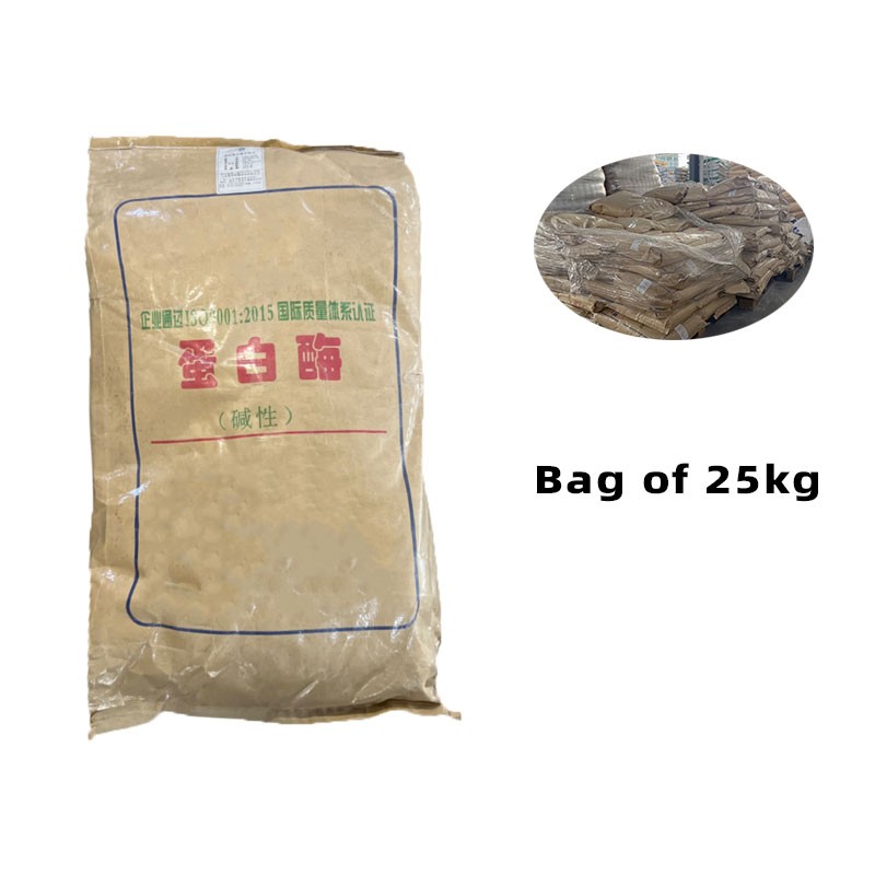 Protease Enzyme Powder Manufacturer - Alkaline Neutral Custom