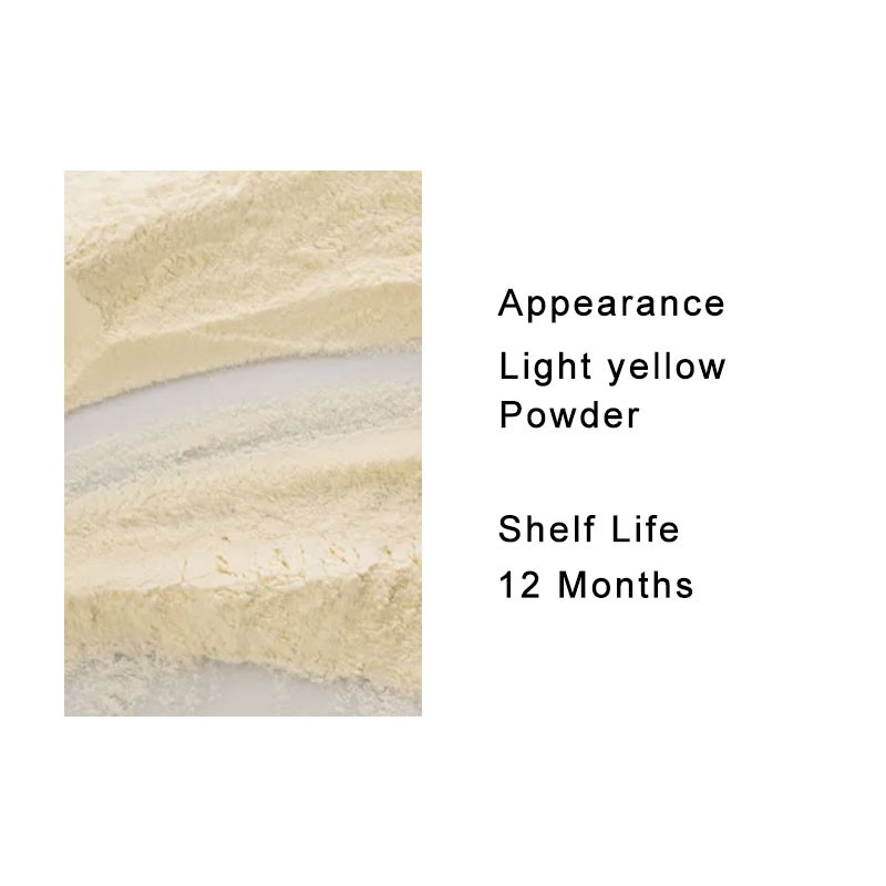 Soy Protein Isolate Factory - Plant Based 90% Custom