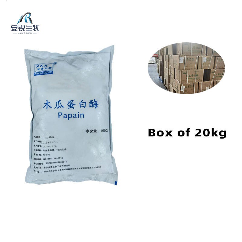 Papain Enzyme Powder Supplier - Premium Food Additive