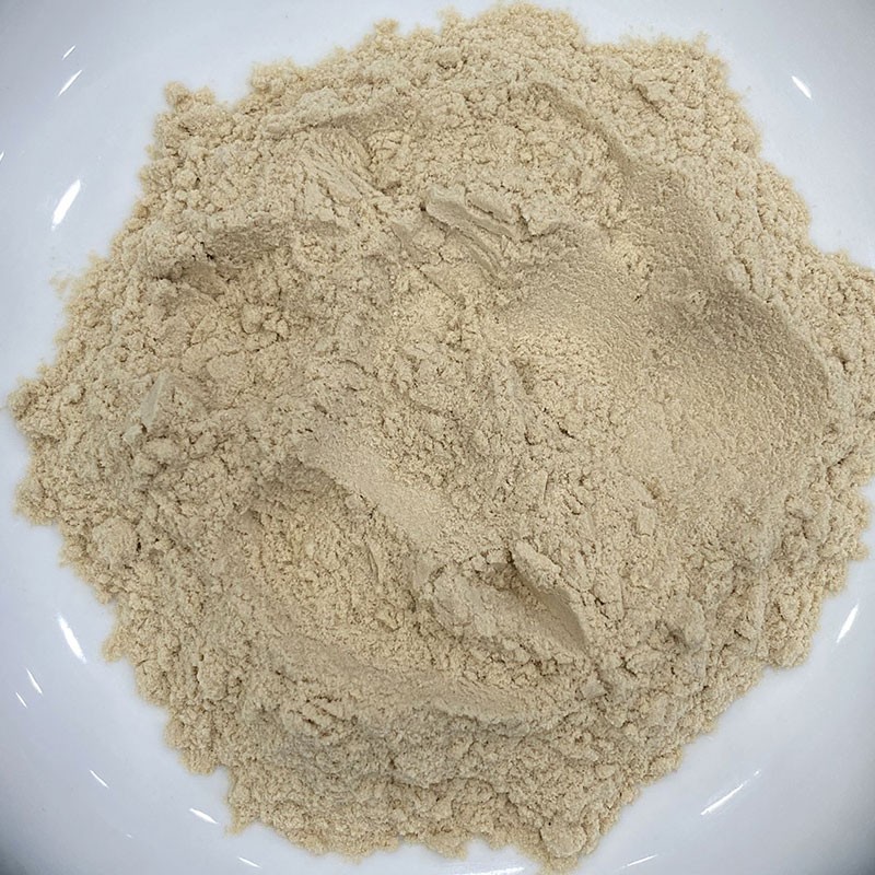 Protease Enzyme Powder Manufacturer - Alkaline Neutral Custom