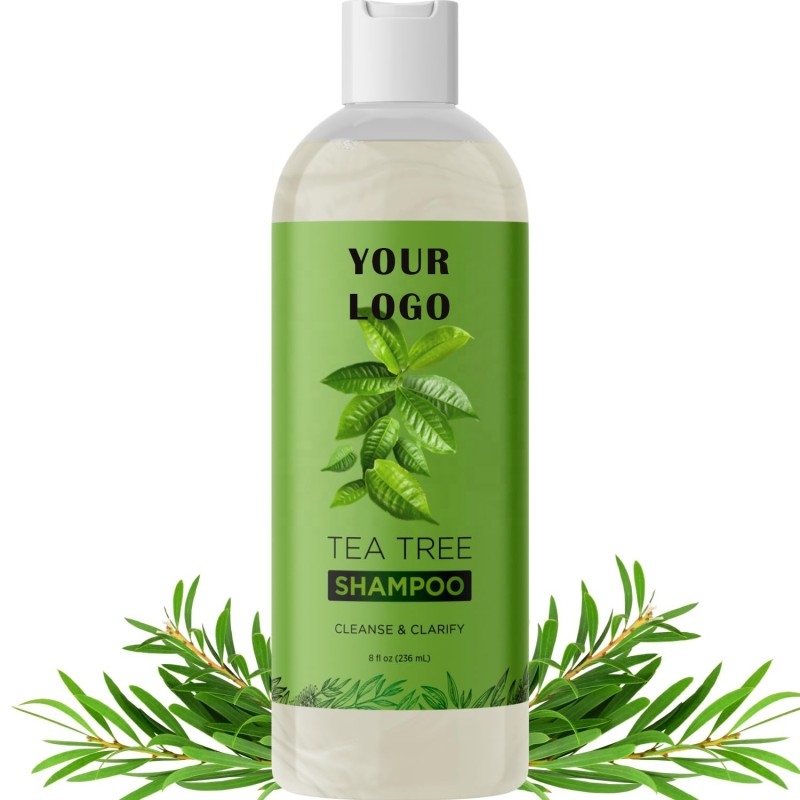 Dandruff Shampoo Supplier - Hydrating Scalp Care