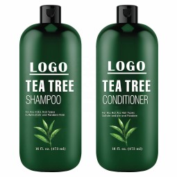 Anti Dandruff Shampoo Factory - Green Tea Formula