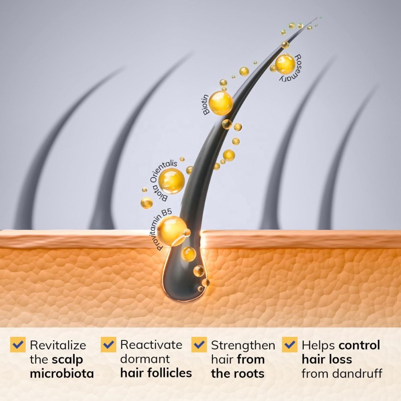 Ginger Shampoo Manufacturer - Sulfate Free OEM