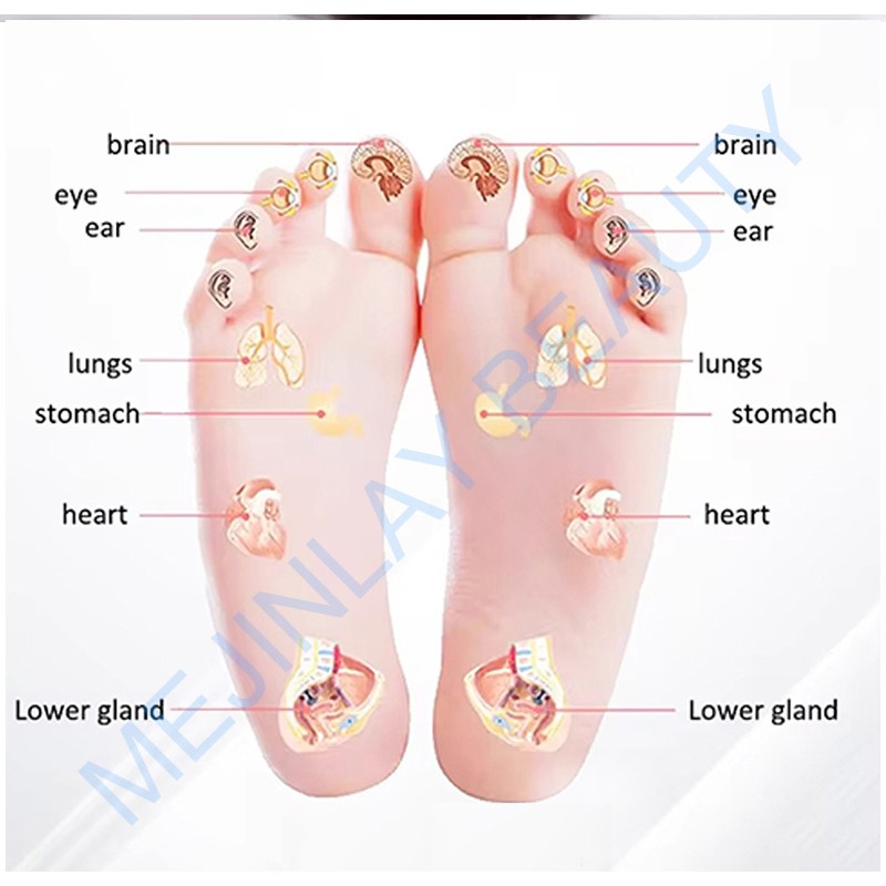 Home Foot Massager Factory - Wireless Blood Circulation
