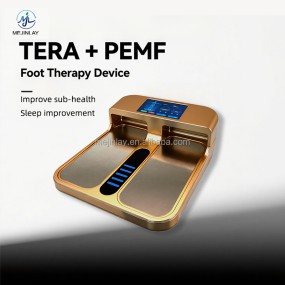 Terahertz Therapy Device Factory - OEM PEMF Foot Massager
