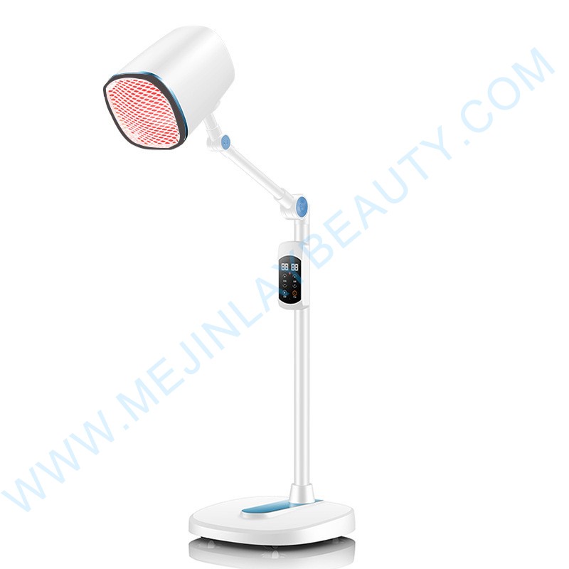 Standing Therapy Device Supplier - Aging Recovery Support