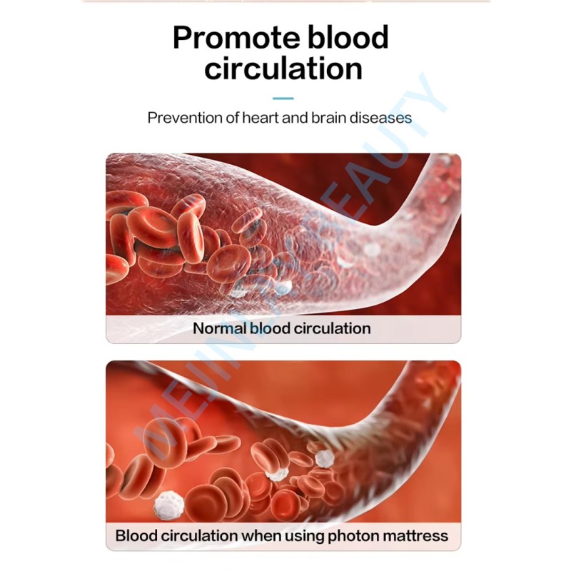 PEMF Therapy Mat Factory - Far Infrared Spa Mattress
