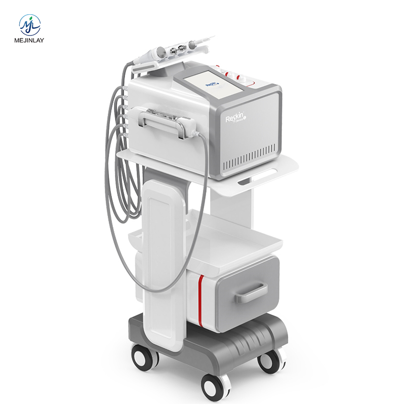 Electroporation Machine Manufacturer - No Needle Mesotherapy