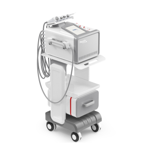 Portable Mesotherapy Factory - No Needle RF Skin Machine