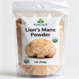 Lion Mane Mushroom Powder Supplier - Wild Sourced