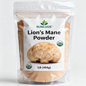 Lion Mane Mushroom Powder Supplier - Wild Sourced