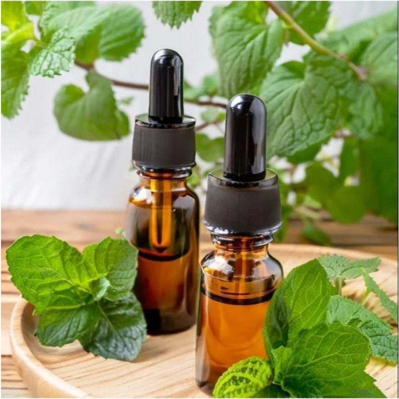Peppermint Oil Manufacturer - Steam Distilled